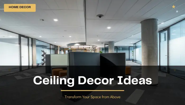 Ceiling Decor Ideas
