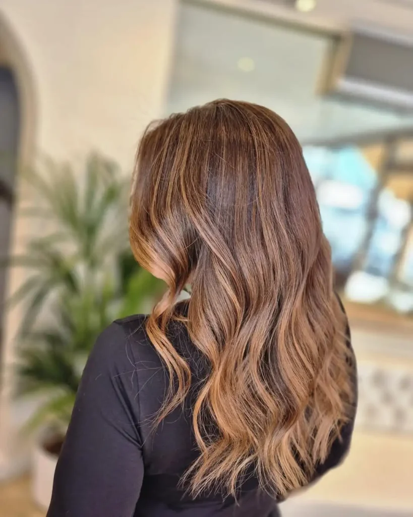Chestnut Highlighted