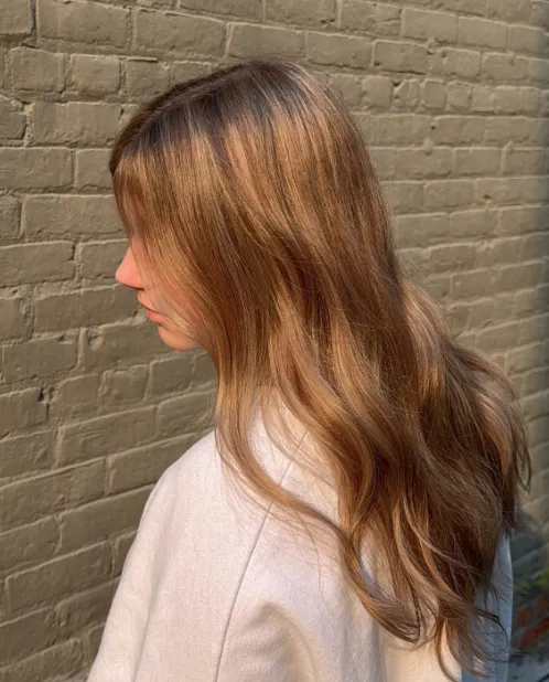 Cinnamon Ribbon Highlights
