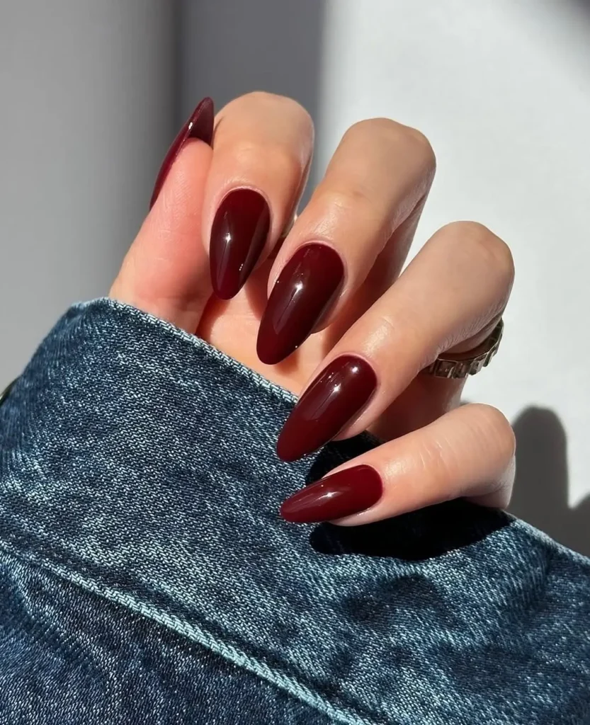 Dark Cherry Fall Nails