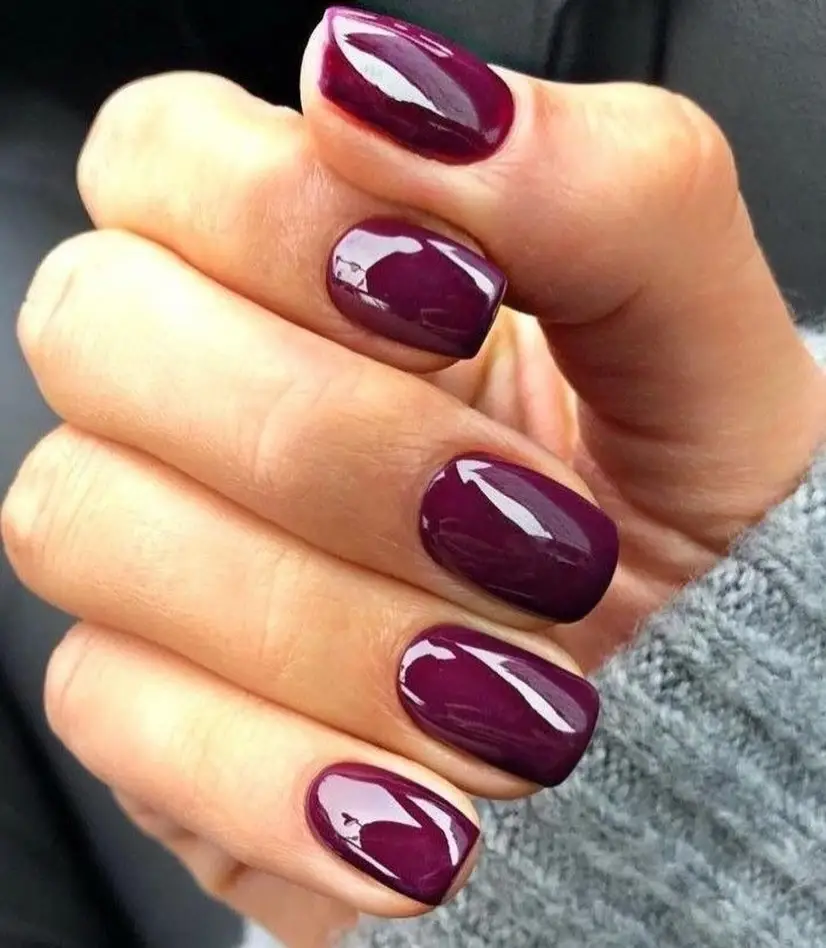 Dark Plum Velvet Nails