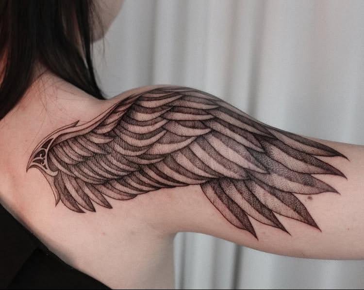 Sculpted Wing Statement