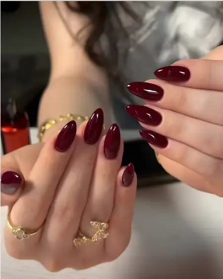 Wine Red Elegant Nails