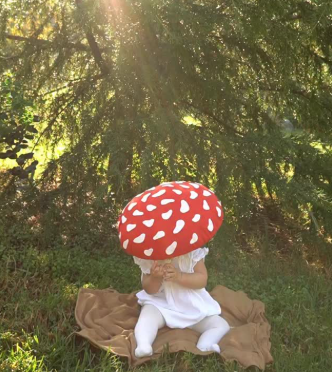 Baby Mushroom
