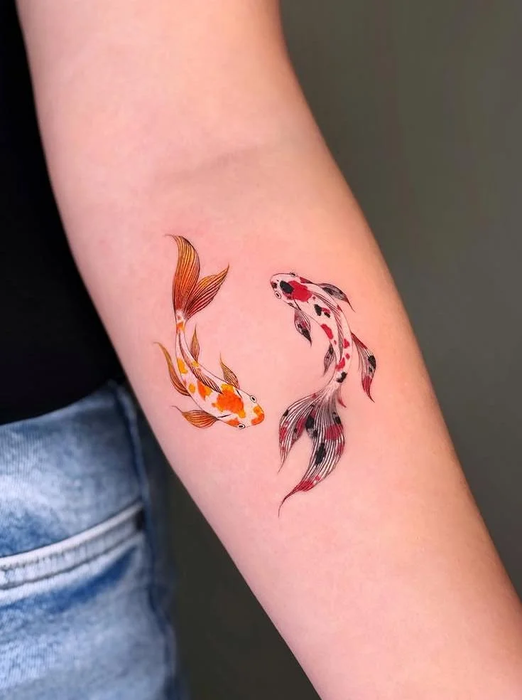 Two Koi in Gentle Motion